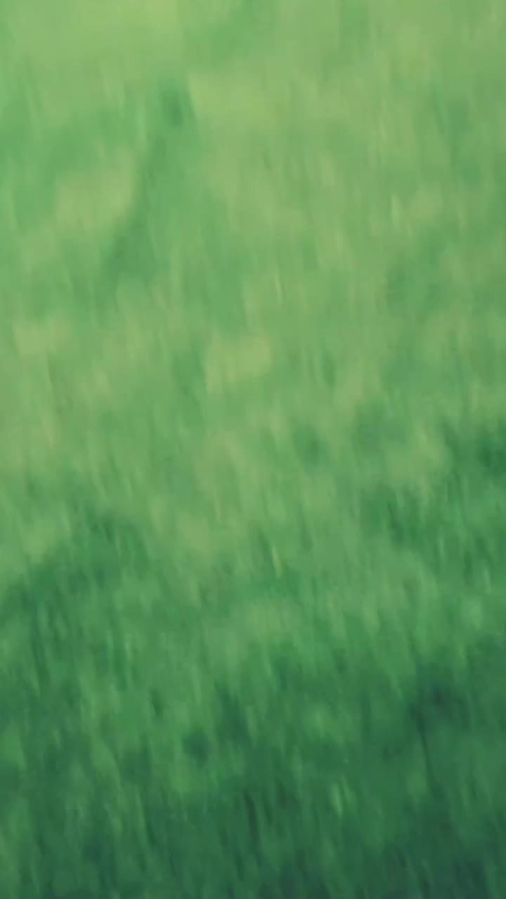 @SHEHZADI_ZAK