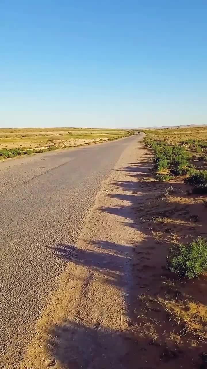 @💚المسيلي💚