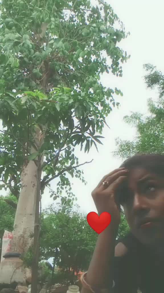 @user6092481627182