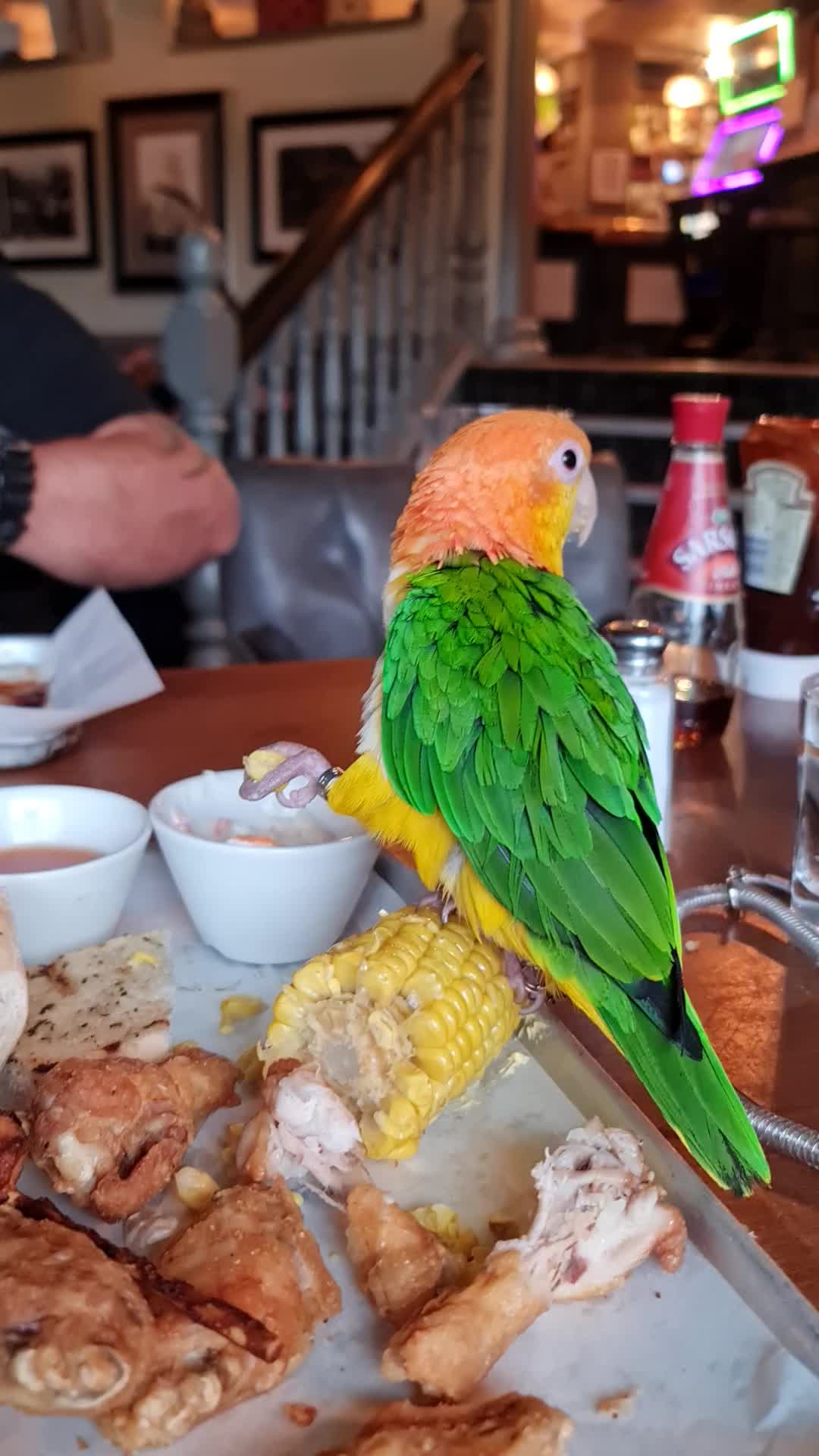 @🥭 🥝 🌶 🥥