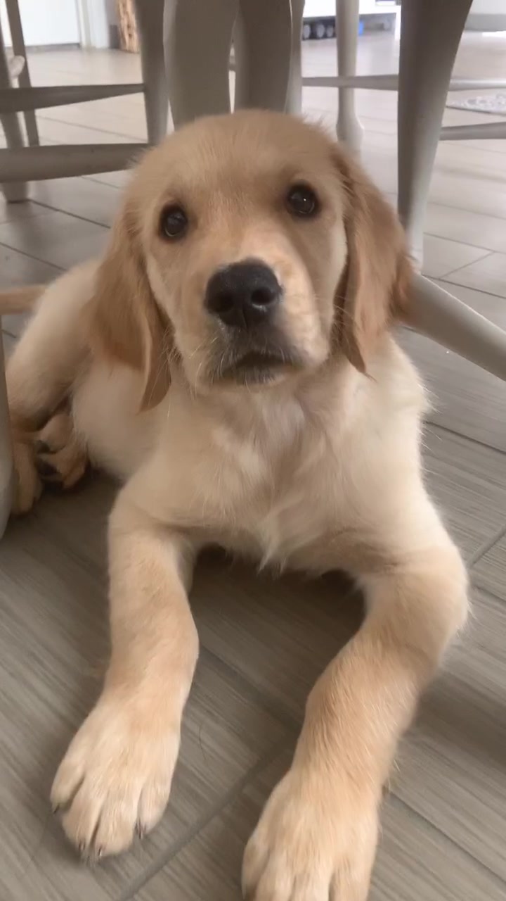 @Oliver 🐶