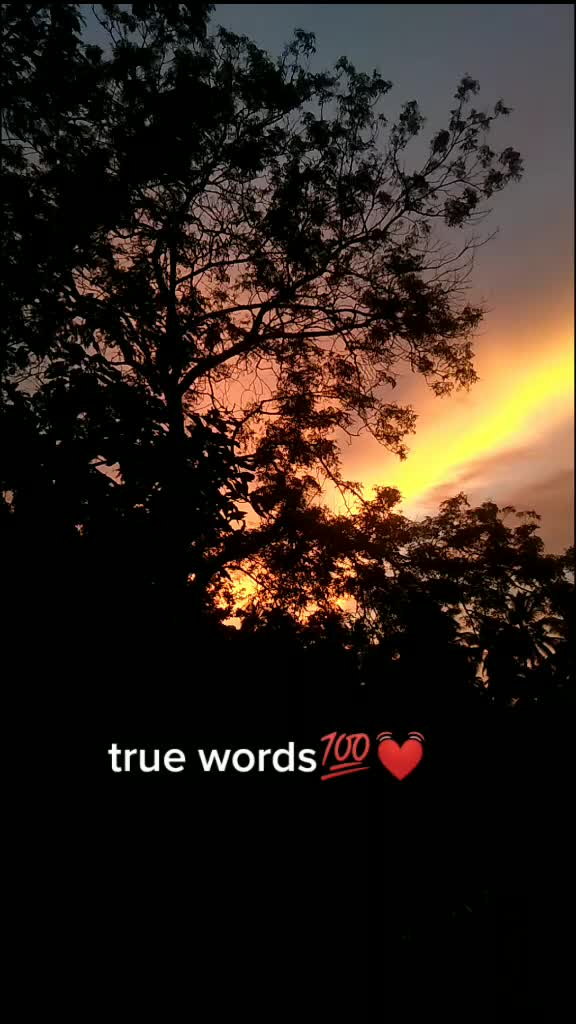 @sheenutty