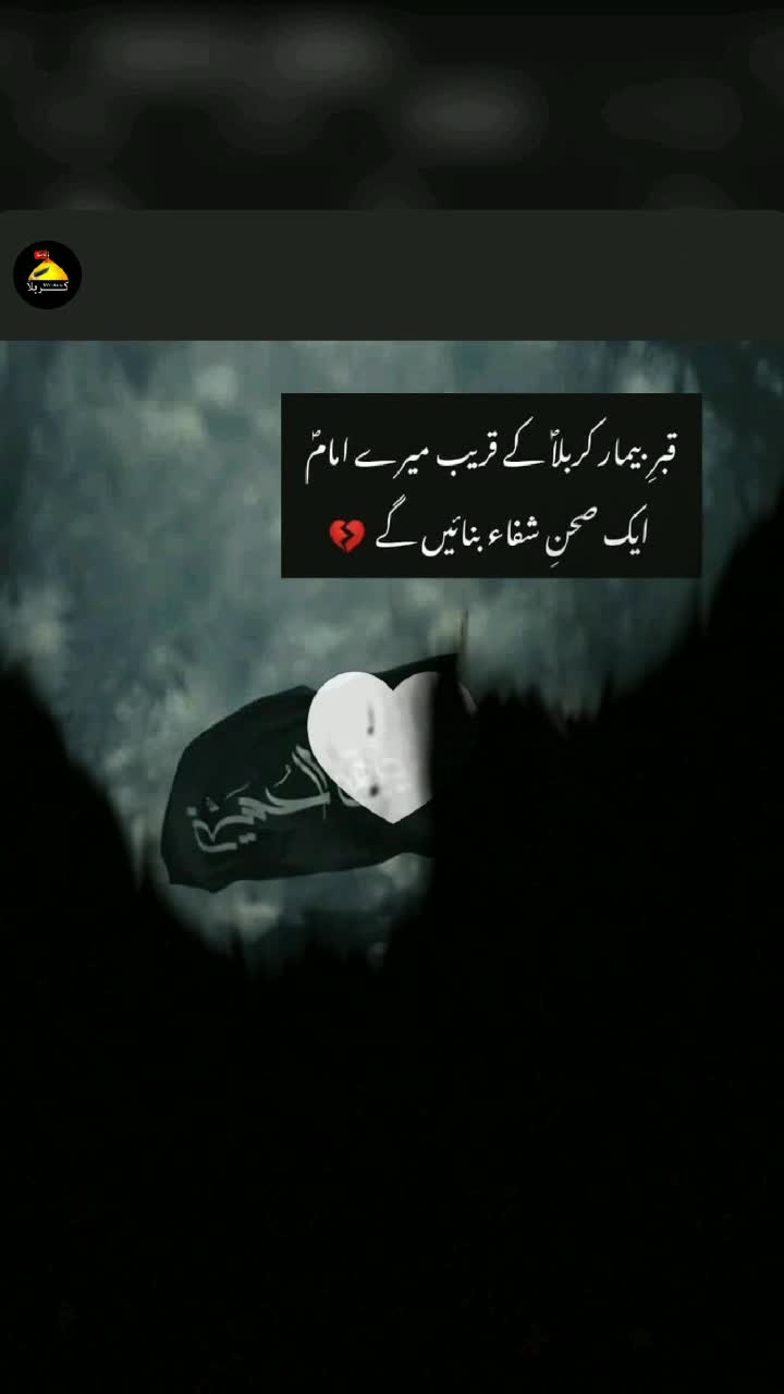 @Syed_Ali❤️