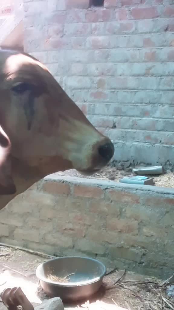 @Chetan bhai Bharvad