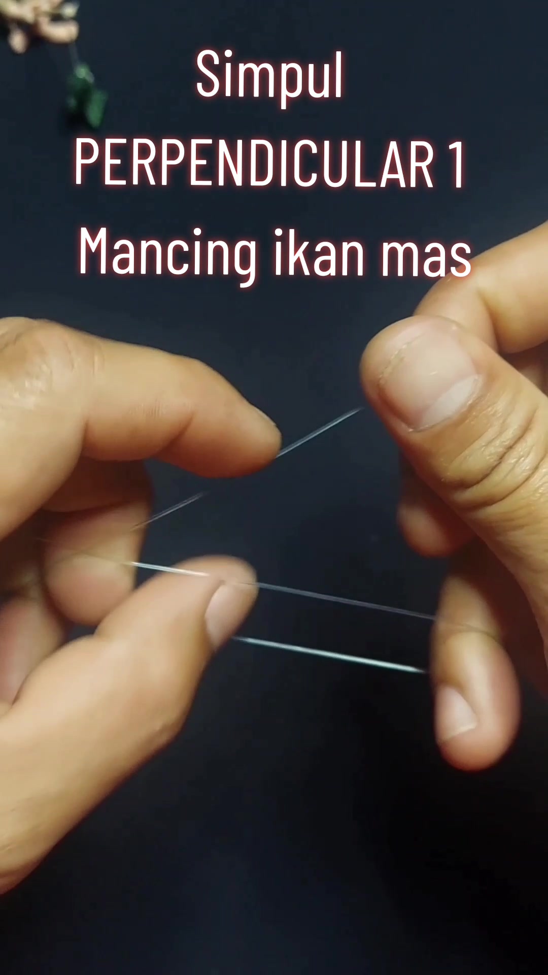 @Mon - Mon