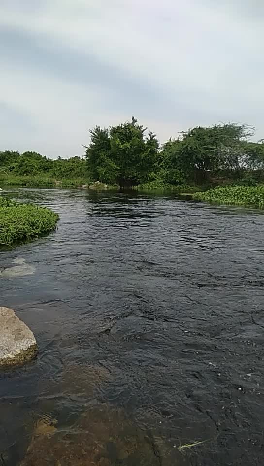 @ashok gorrepati