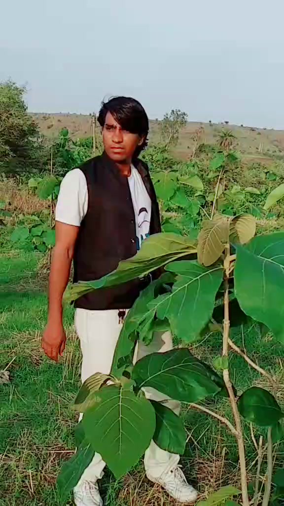 @Kailash Chouhan