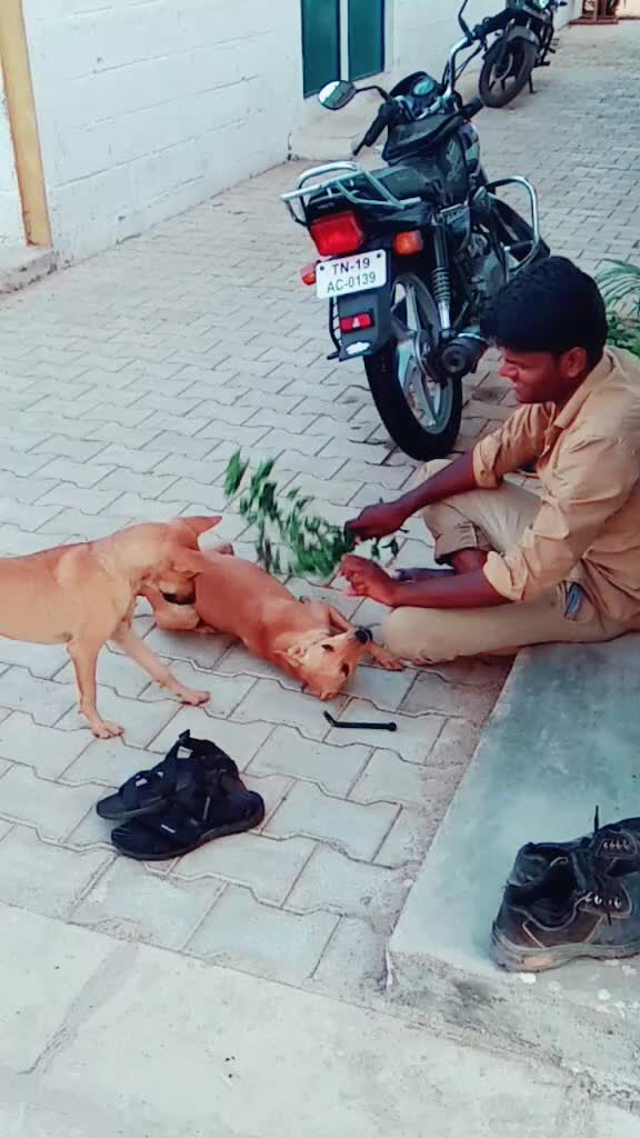 @Ram Raman