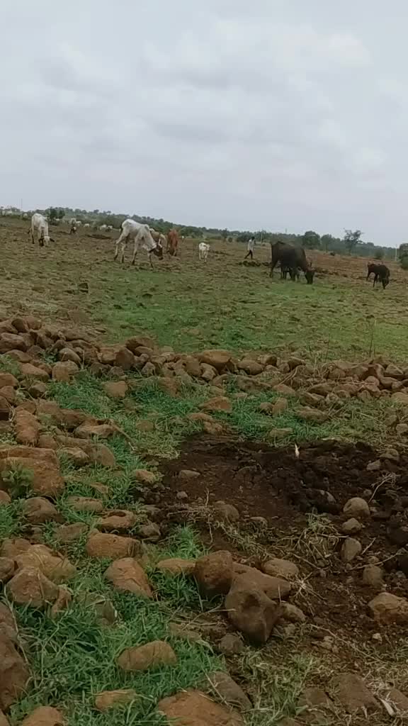 @Govardhan Rathod