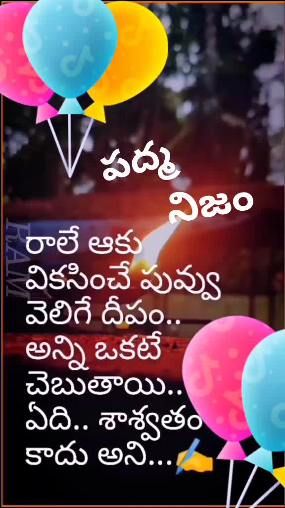 @user38041622628