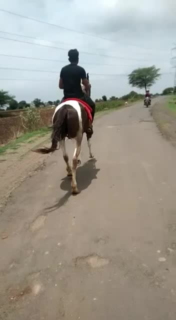 @Krishna choudhary