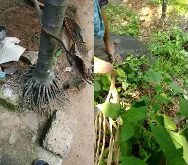 @hari40481