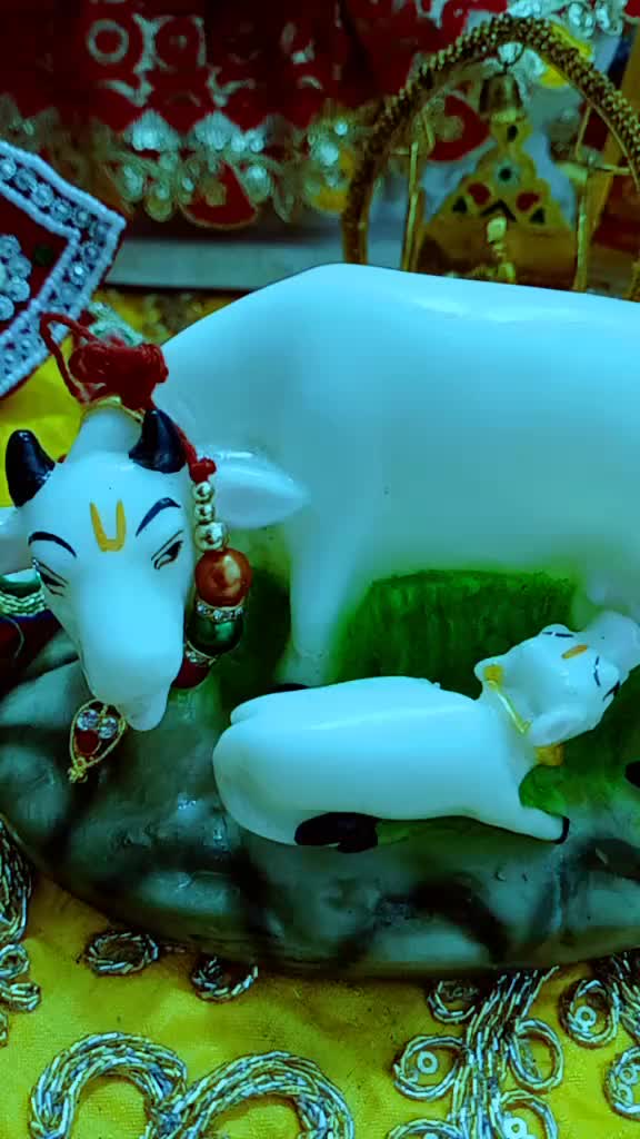 @mamta