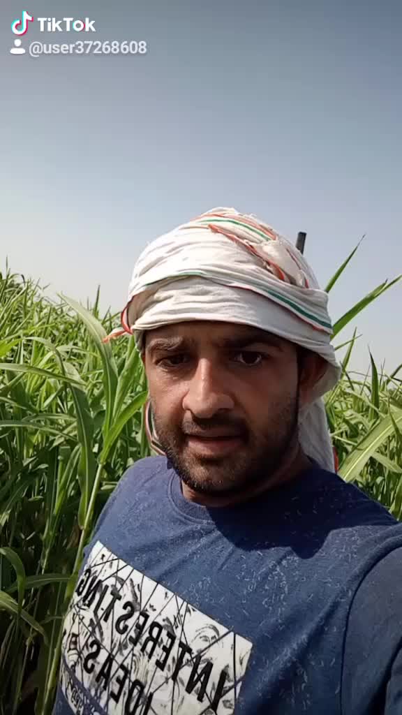 @naveendeswal