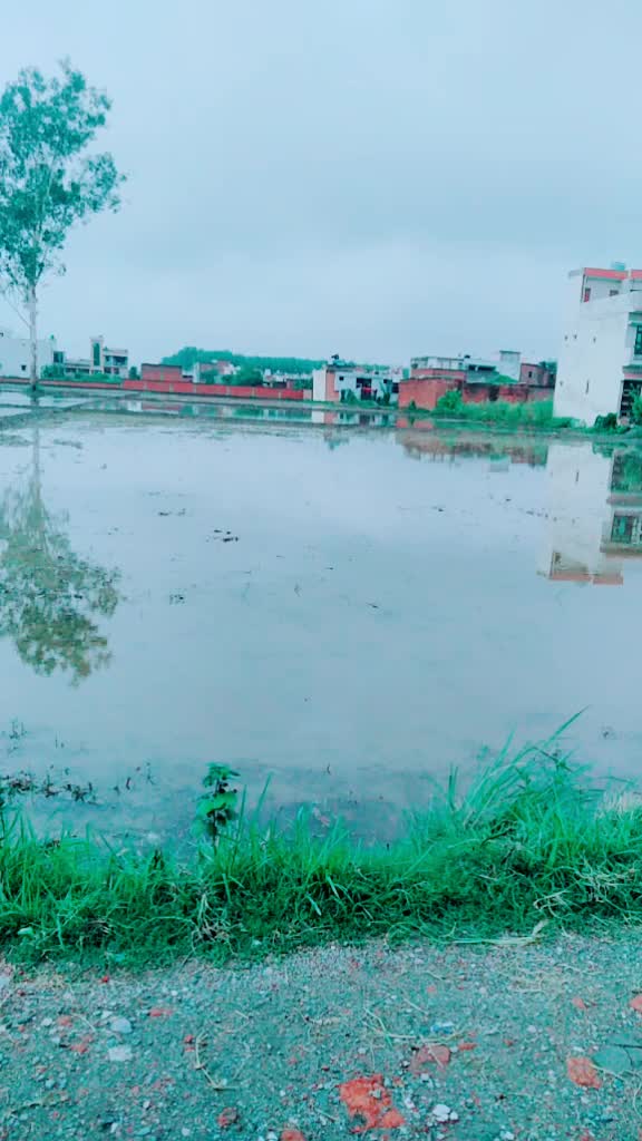 @Kiran Bisht