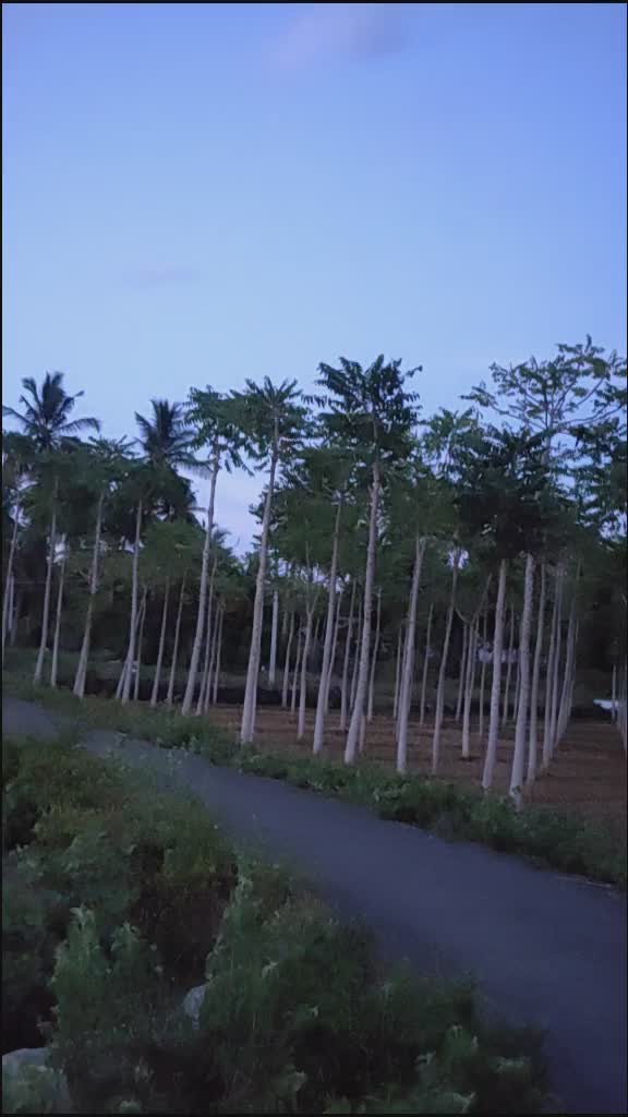 @Ramesh Livi