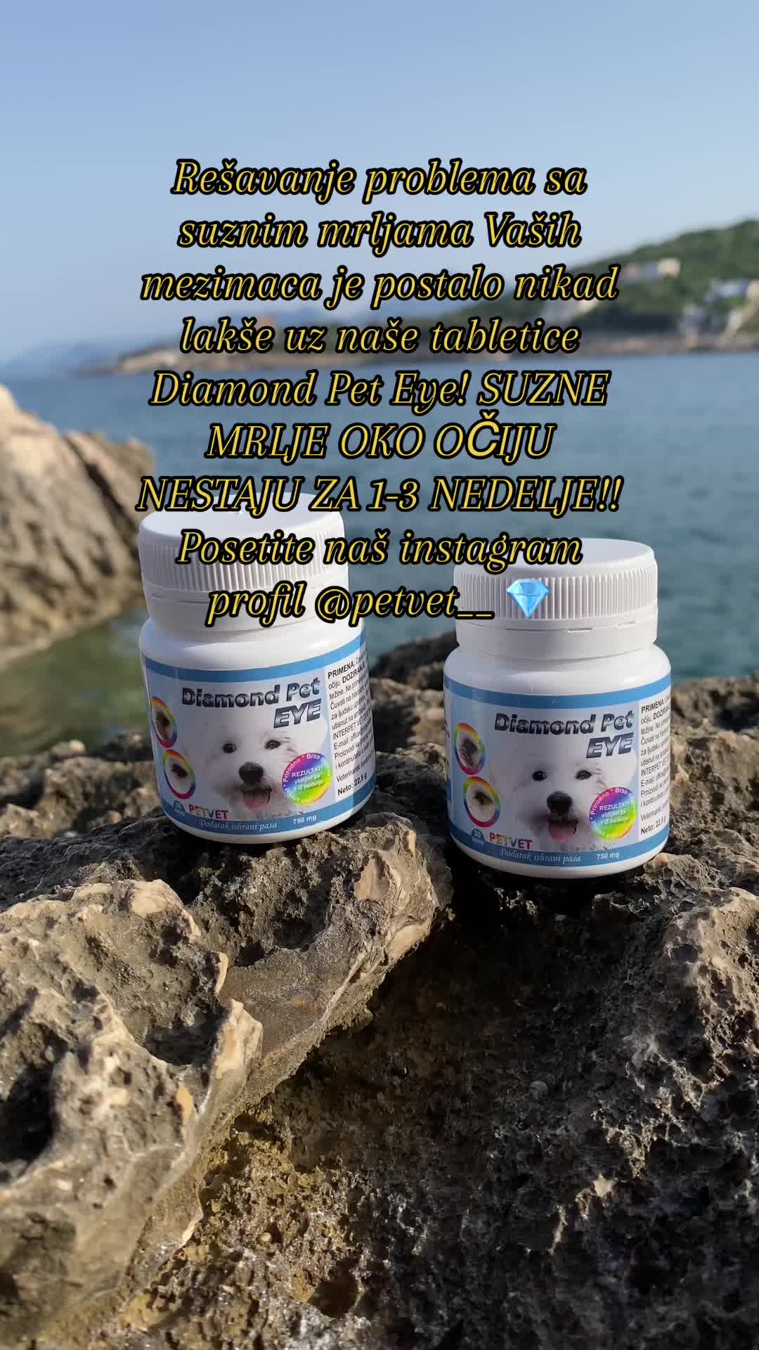 @Petvet