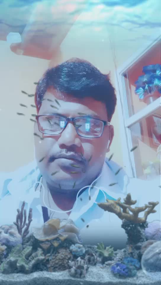 @Manju Natha