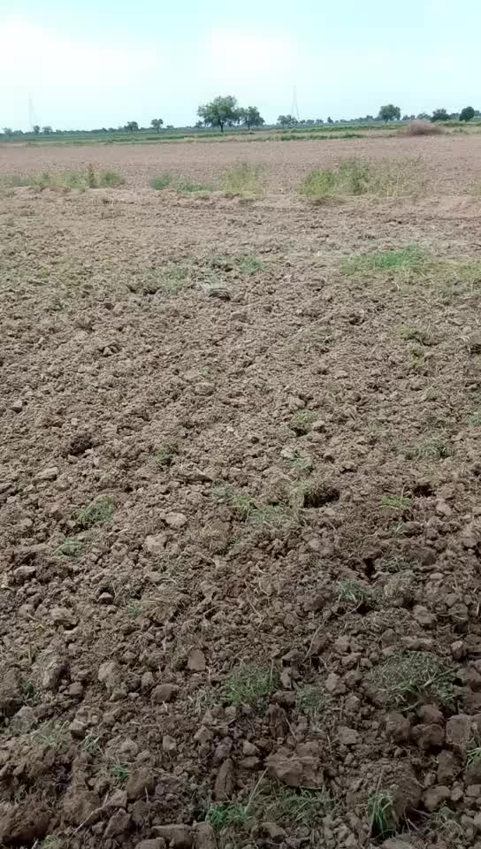 @LALBHA KOLI 1204