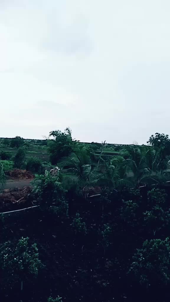 @user887058