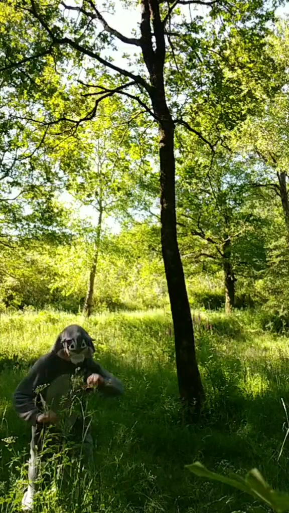 @GROS LOUP