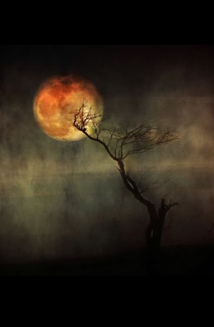 @Moon_Night_Glare