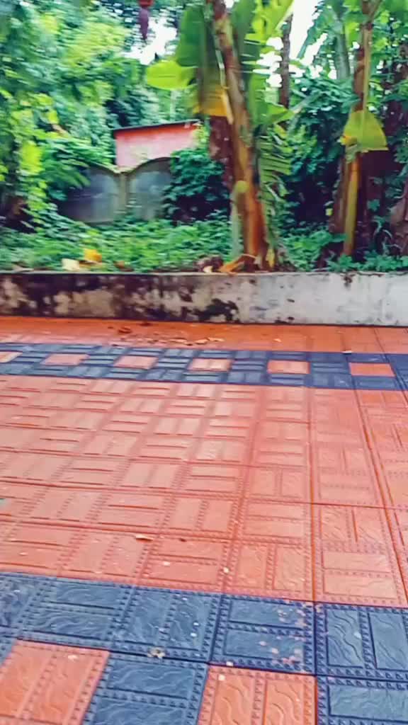 @Adithyan10117827