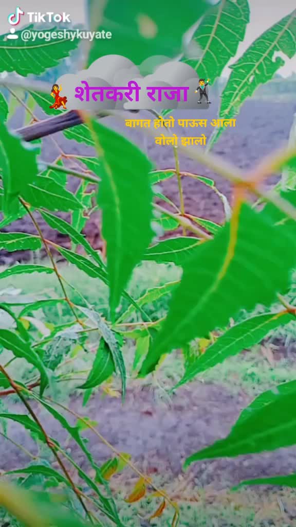 @योगेश कुयटे 91