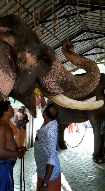 @Rahul Thekkedath
