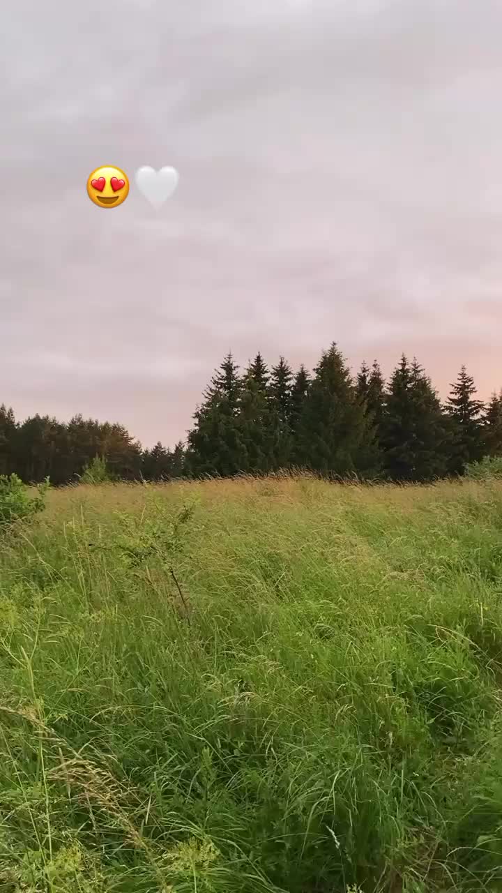 @Ajla Bosnjak❤️🔥
