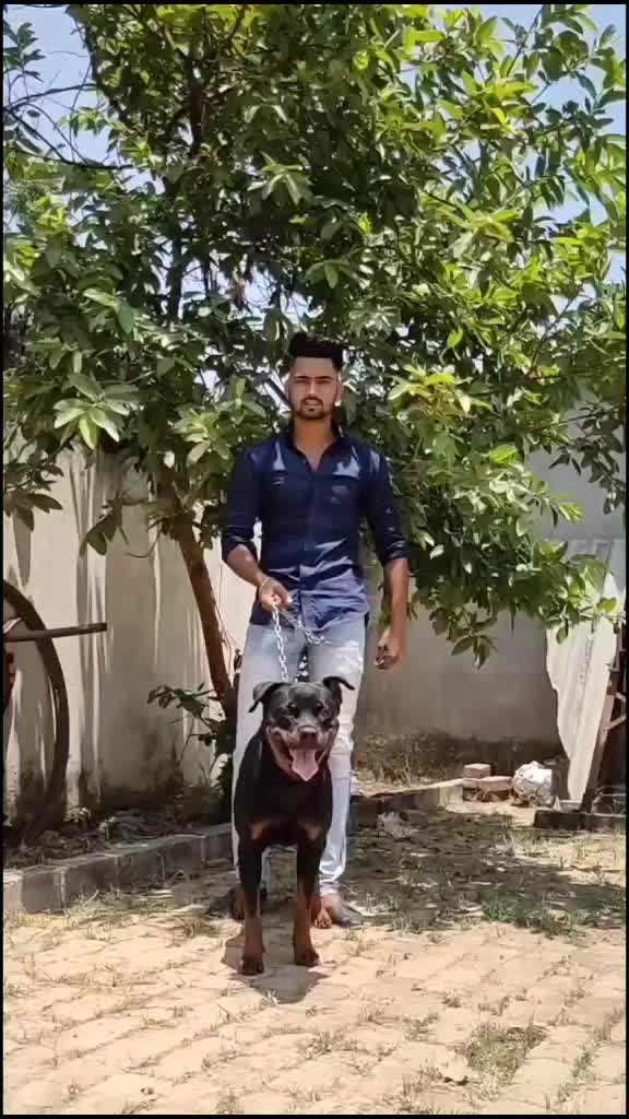 @Arjun(Aarav)