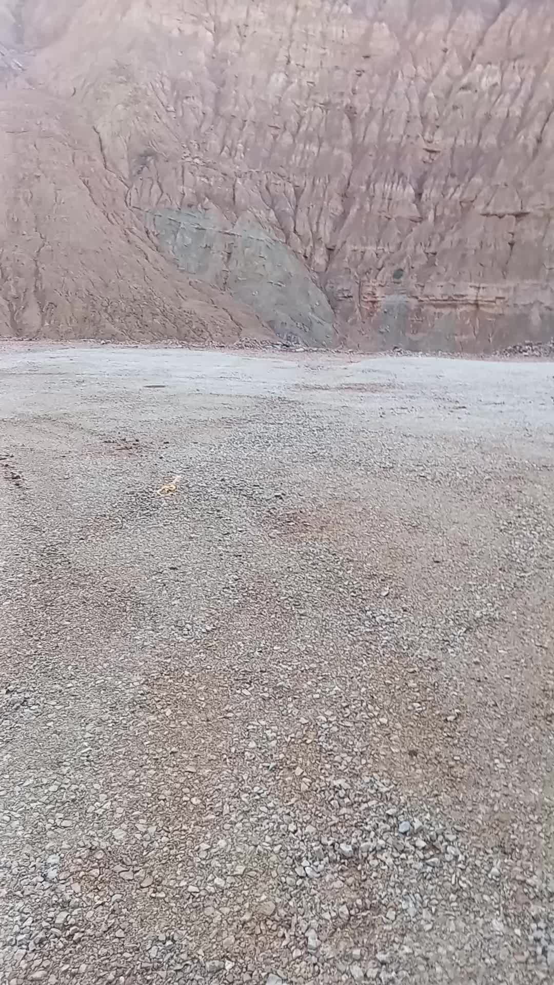 @sasalukicc