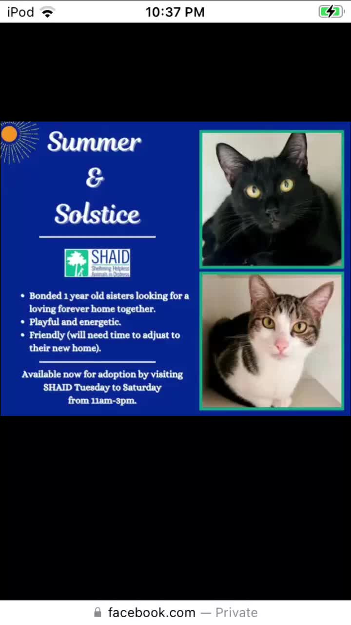 @missnyxx🇨🇦