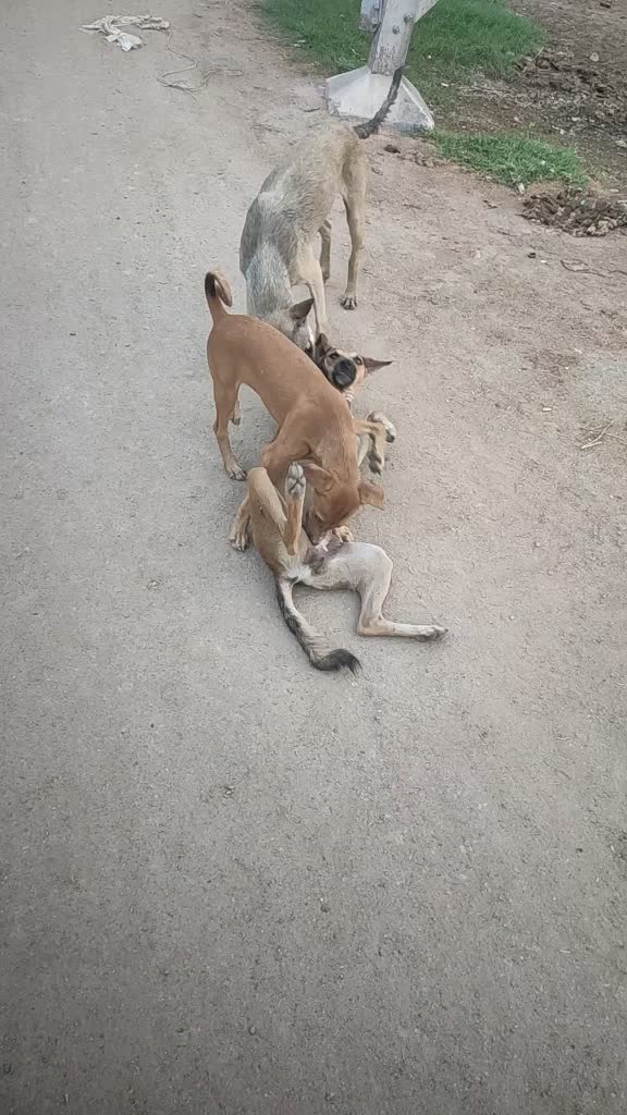 @𝗔𝗕𝗛𝗜𝗦𝗛𝗘𝗞💞𝗞𝗨𝗠𝗔𝗥