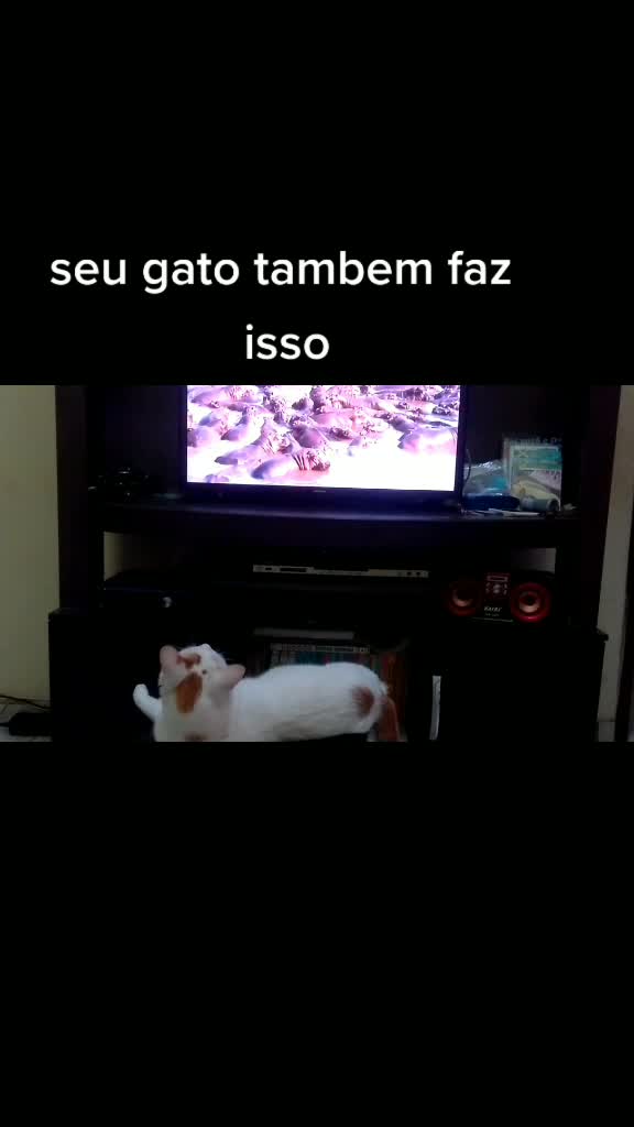 @mulekes arteiros da 