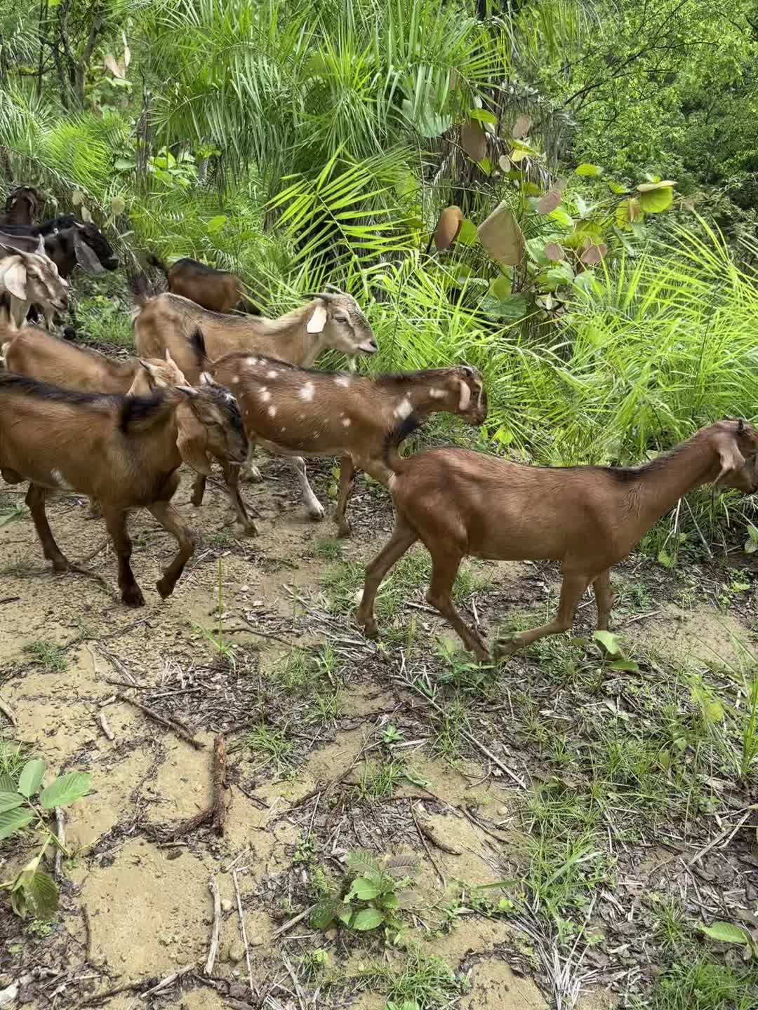 @𝐀𝐥𝐨𝐧𝐞 𝐌𝐚𝐠𝐚𝐫