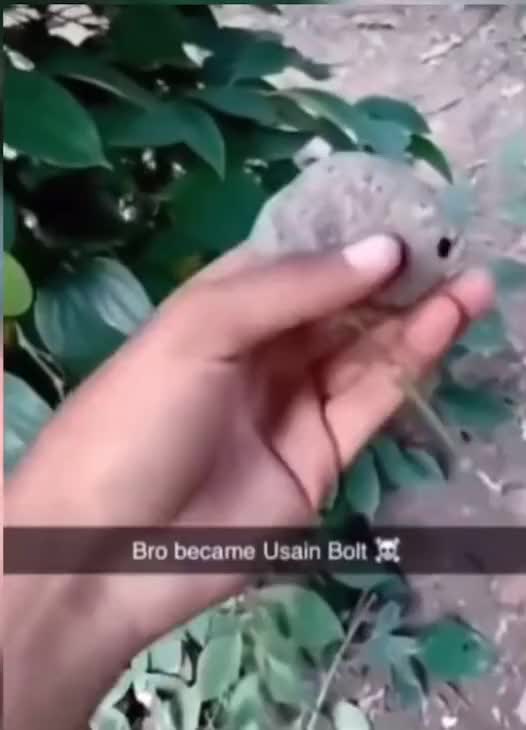 @FunnyDude9000