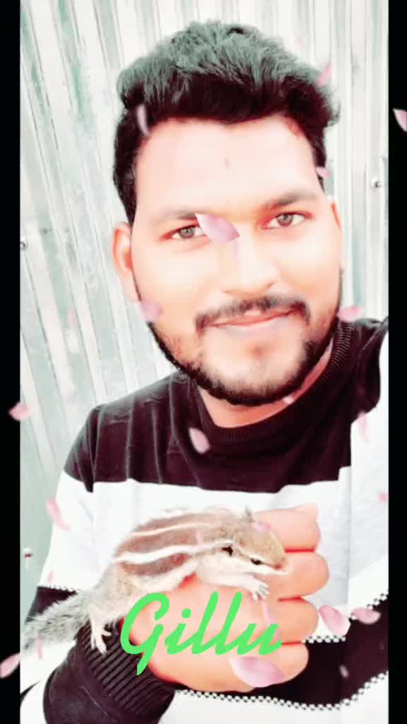 @📓DJ🎙Amit🔊Bansdih