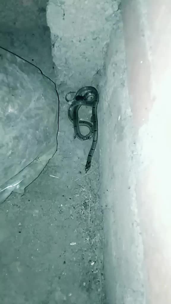 @मुकुंद कुमार शर्मा
