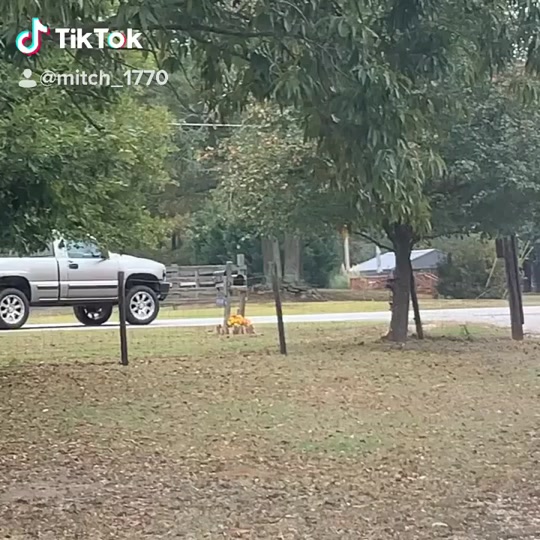 @Mitch_1770