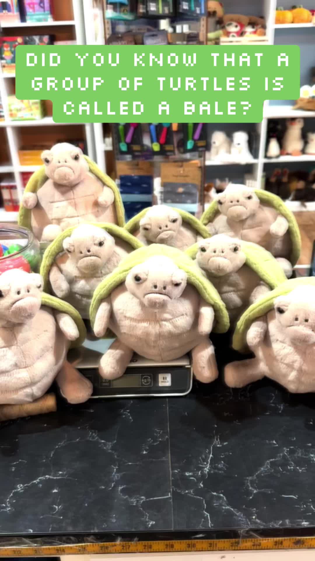 @Hopscotch Children’s Store
