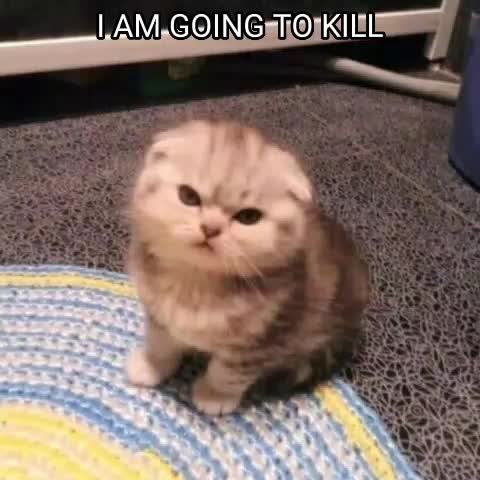 @sof