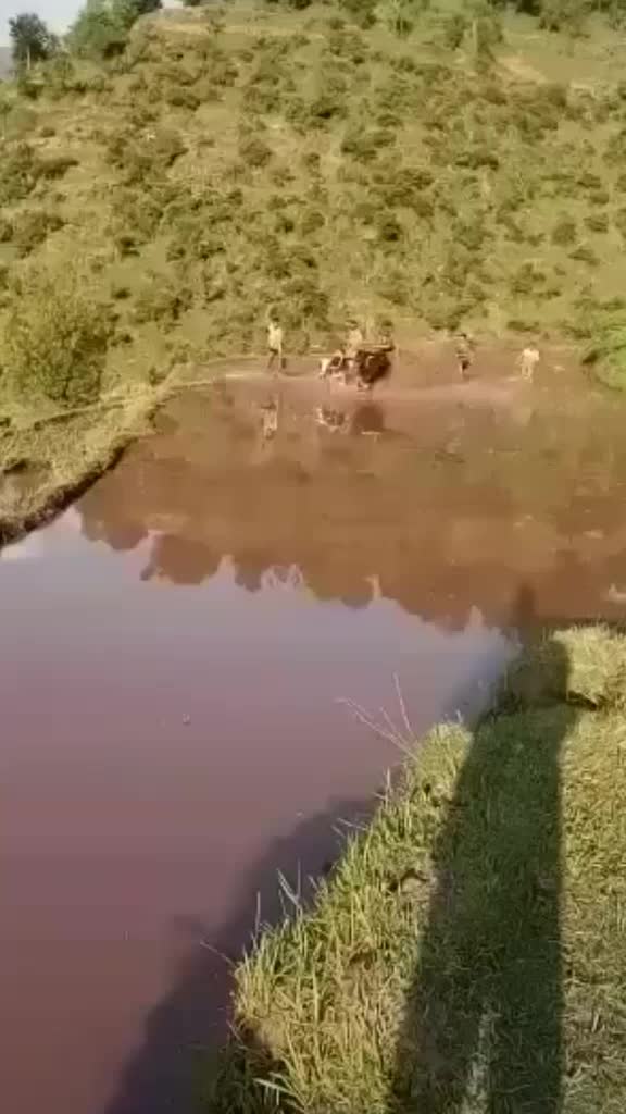 @Chauhan😎