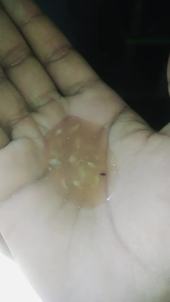@Murthujavali123