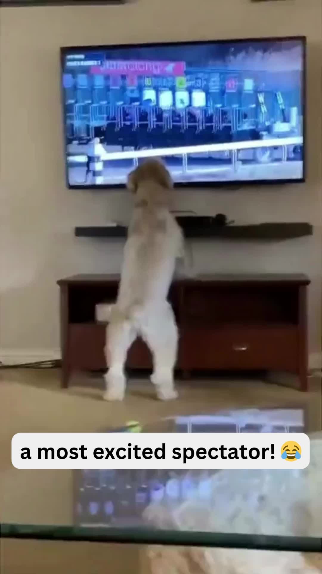 @Pet Guru