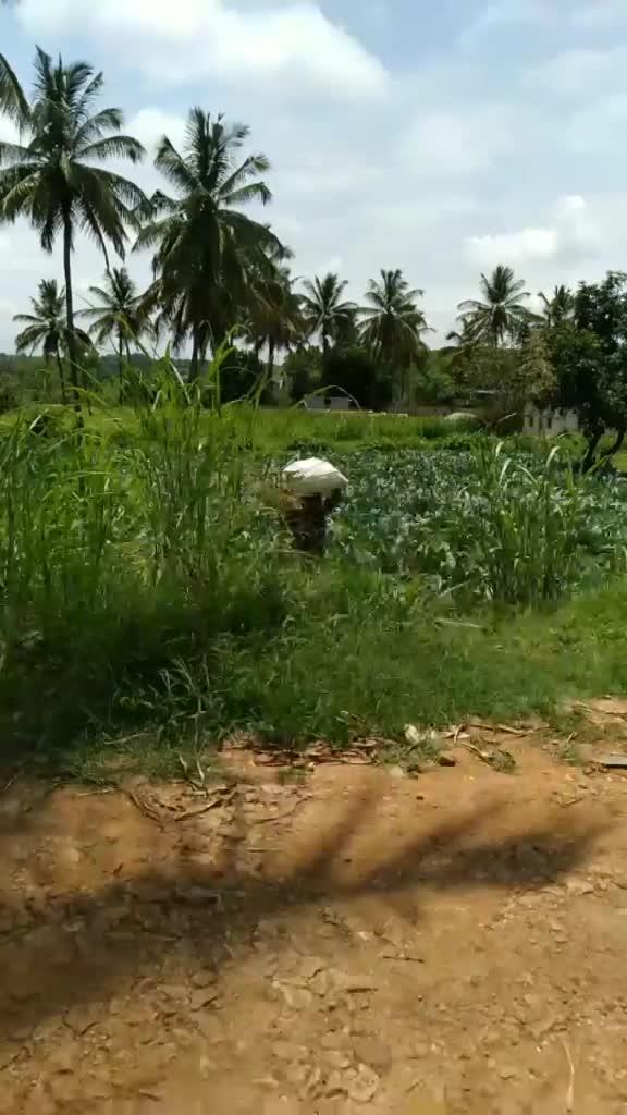 @Mala Santhosh