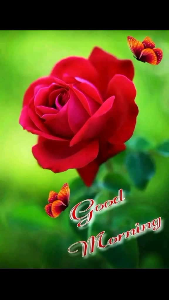 @Kamlesh Kamlesh