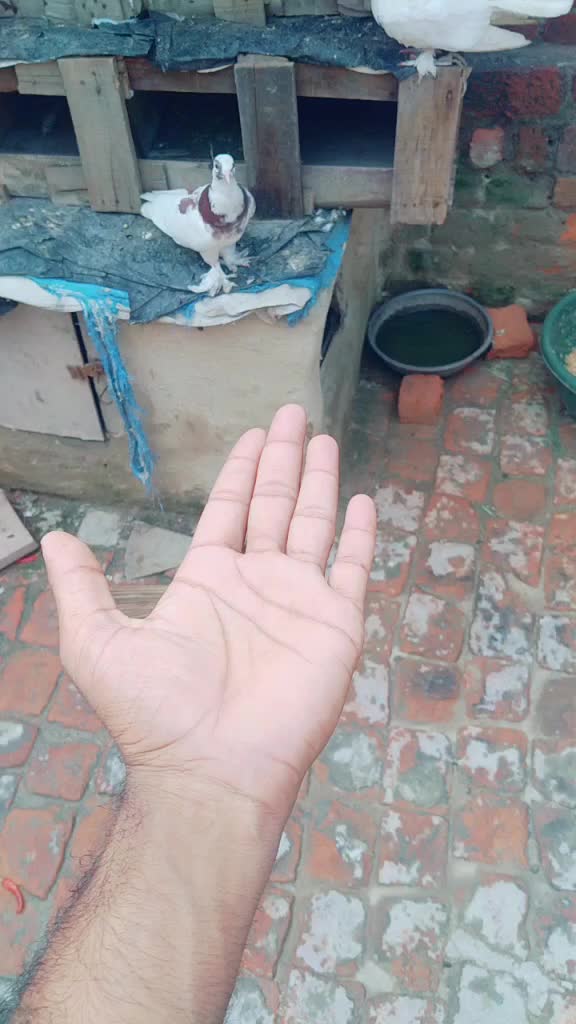 @Sahjad Ansari