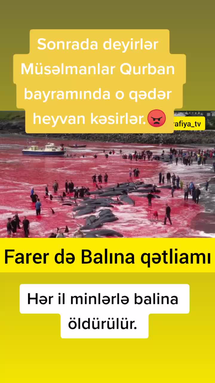 @Cəlil Şirəliyev