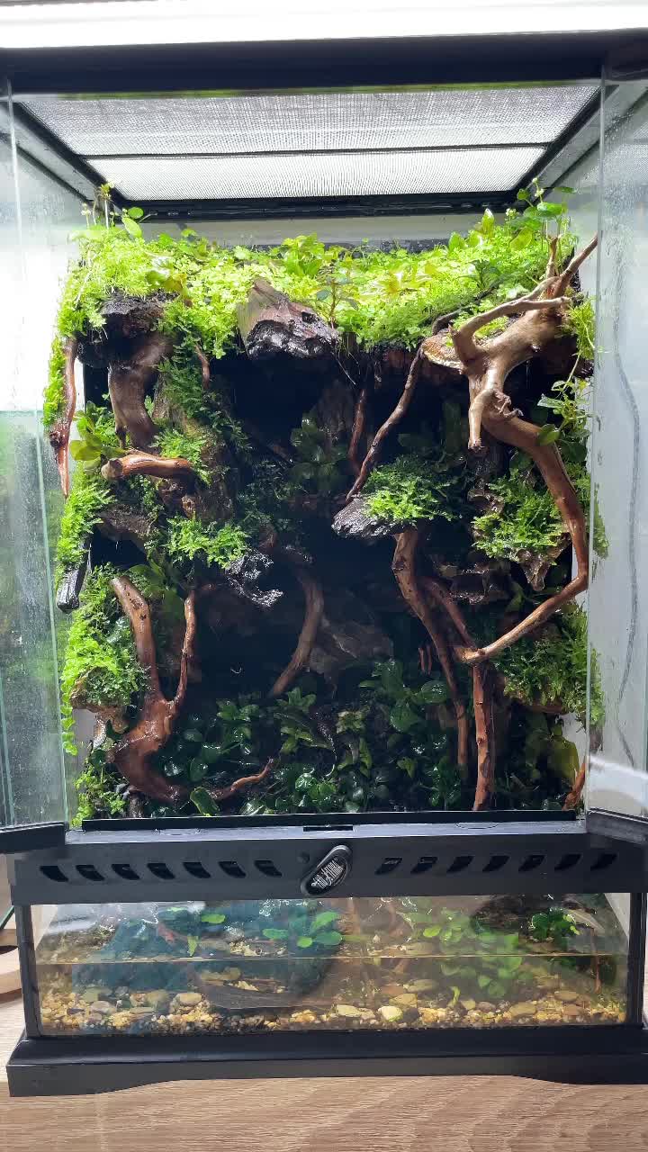 @X_vision_aquascape